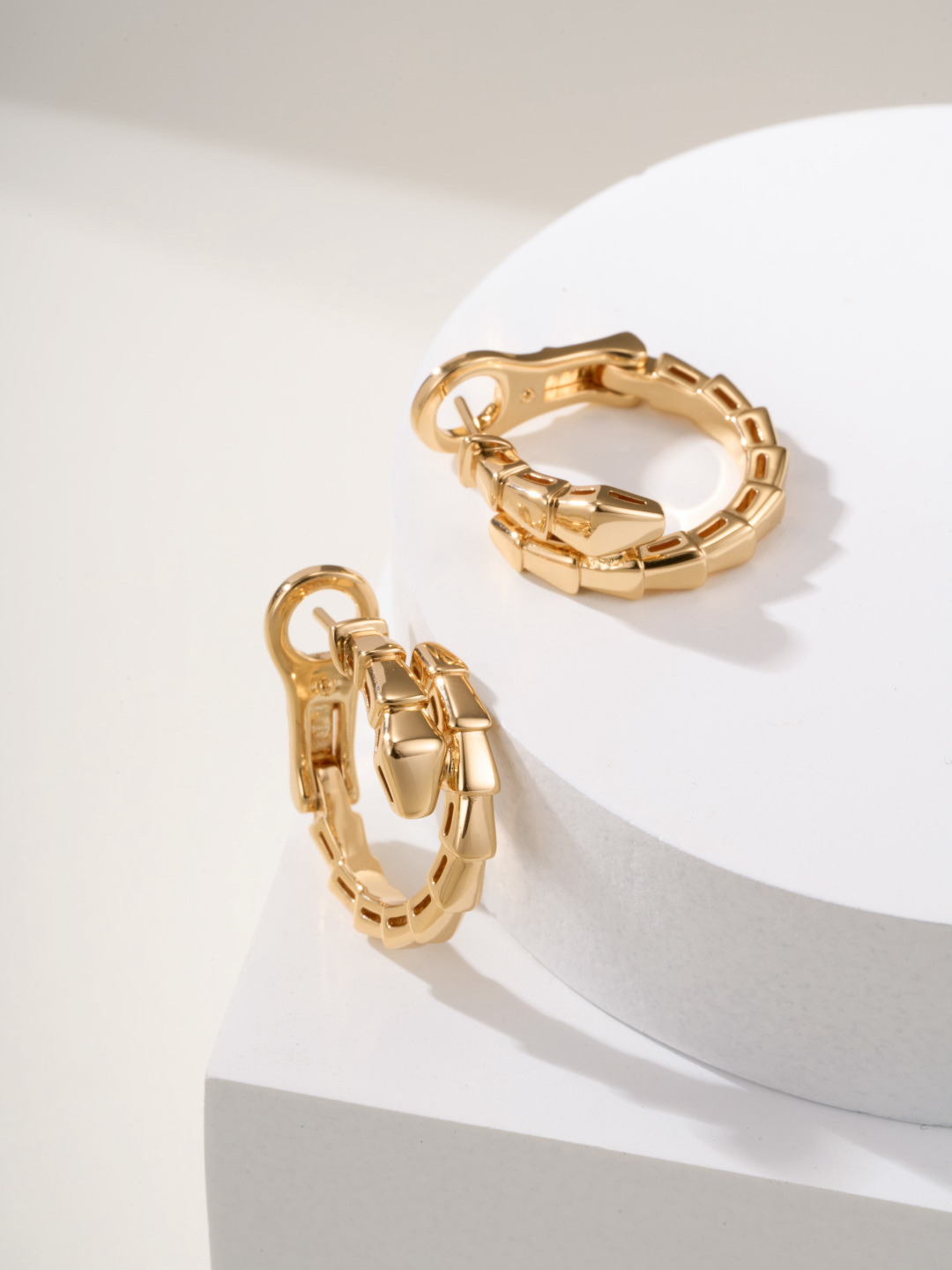 Bottega Veneta earrings-23
