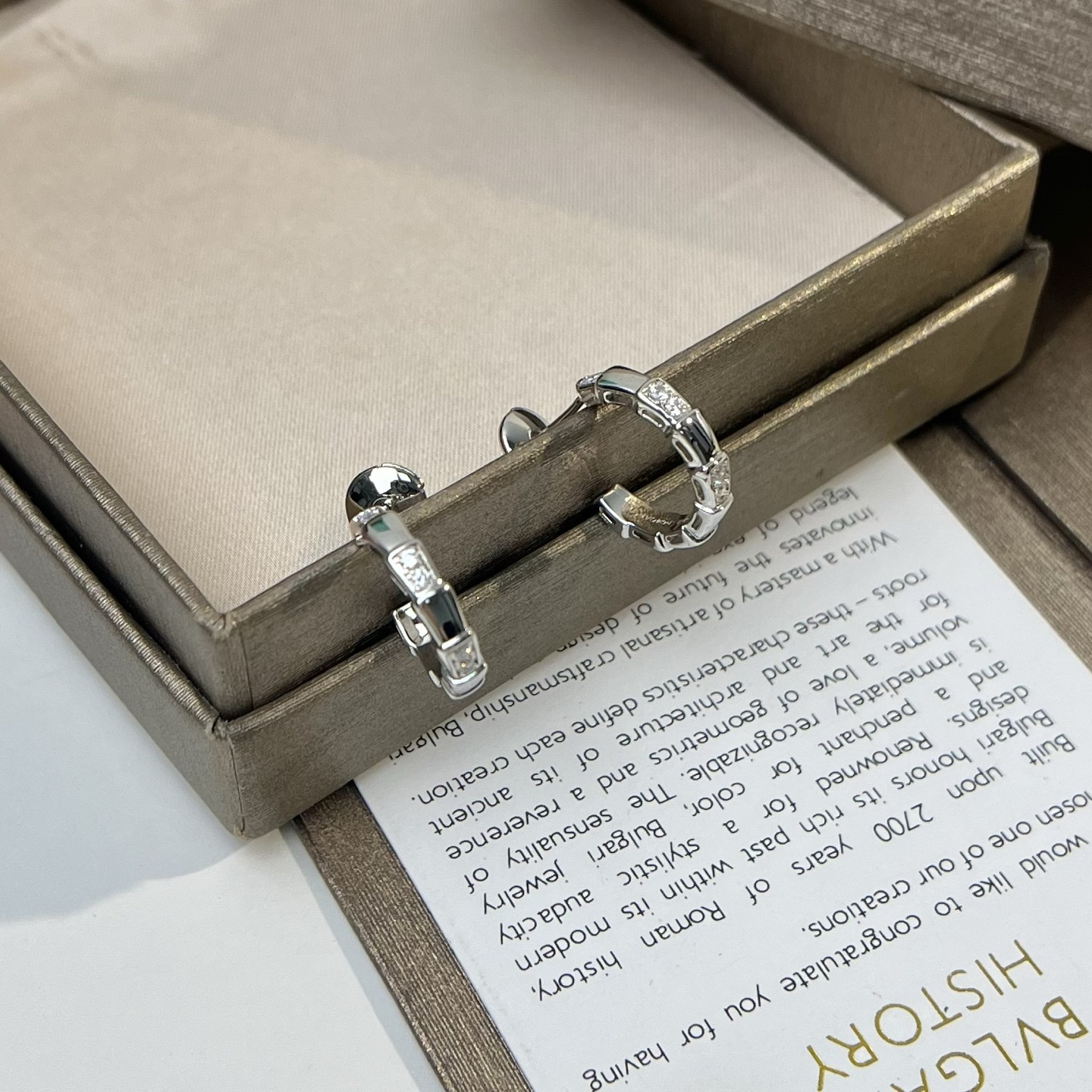 Bottega Veneta earrings-46