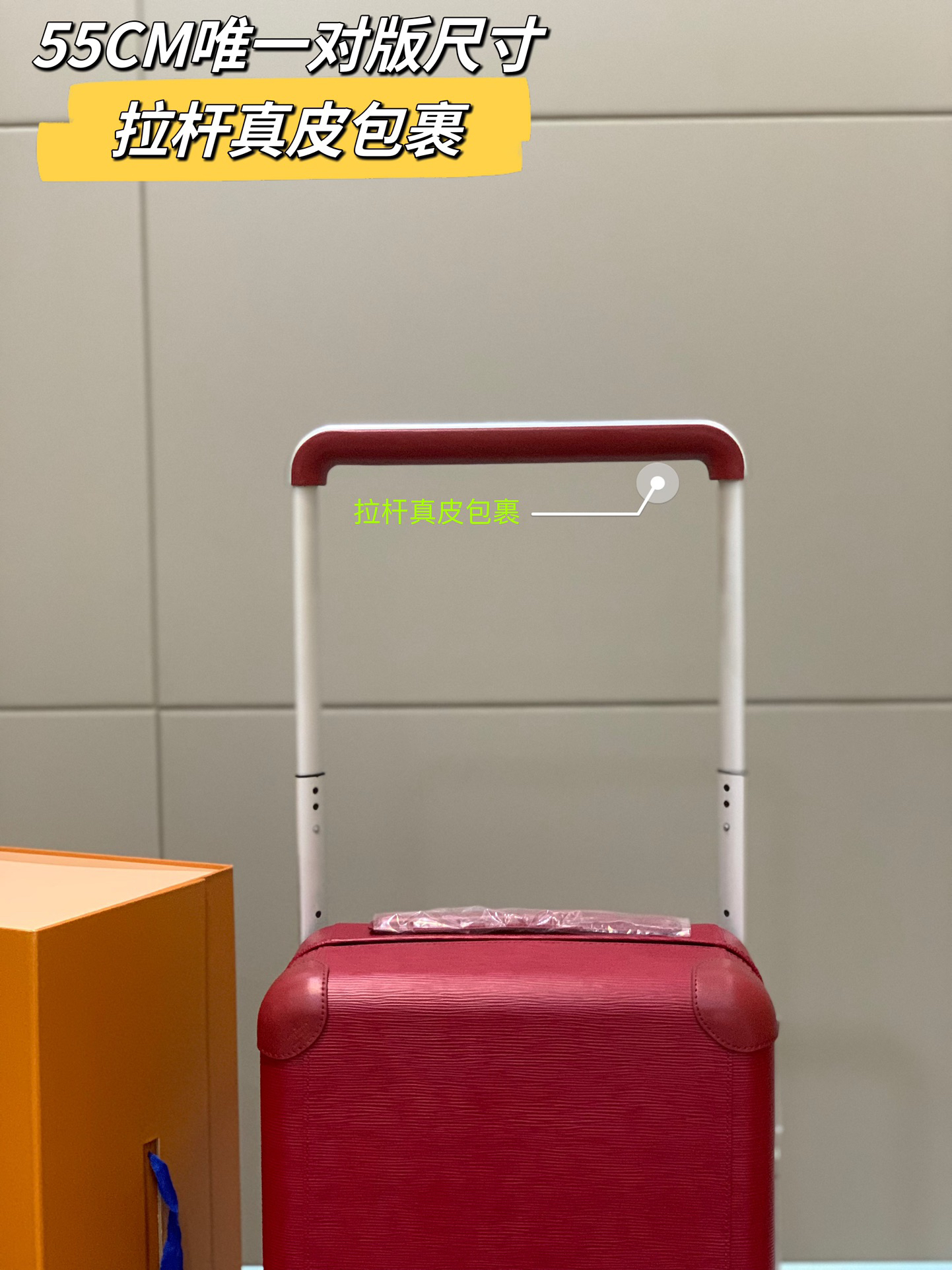 LV luggage-43