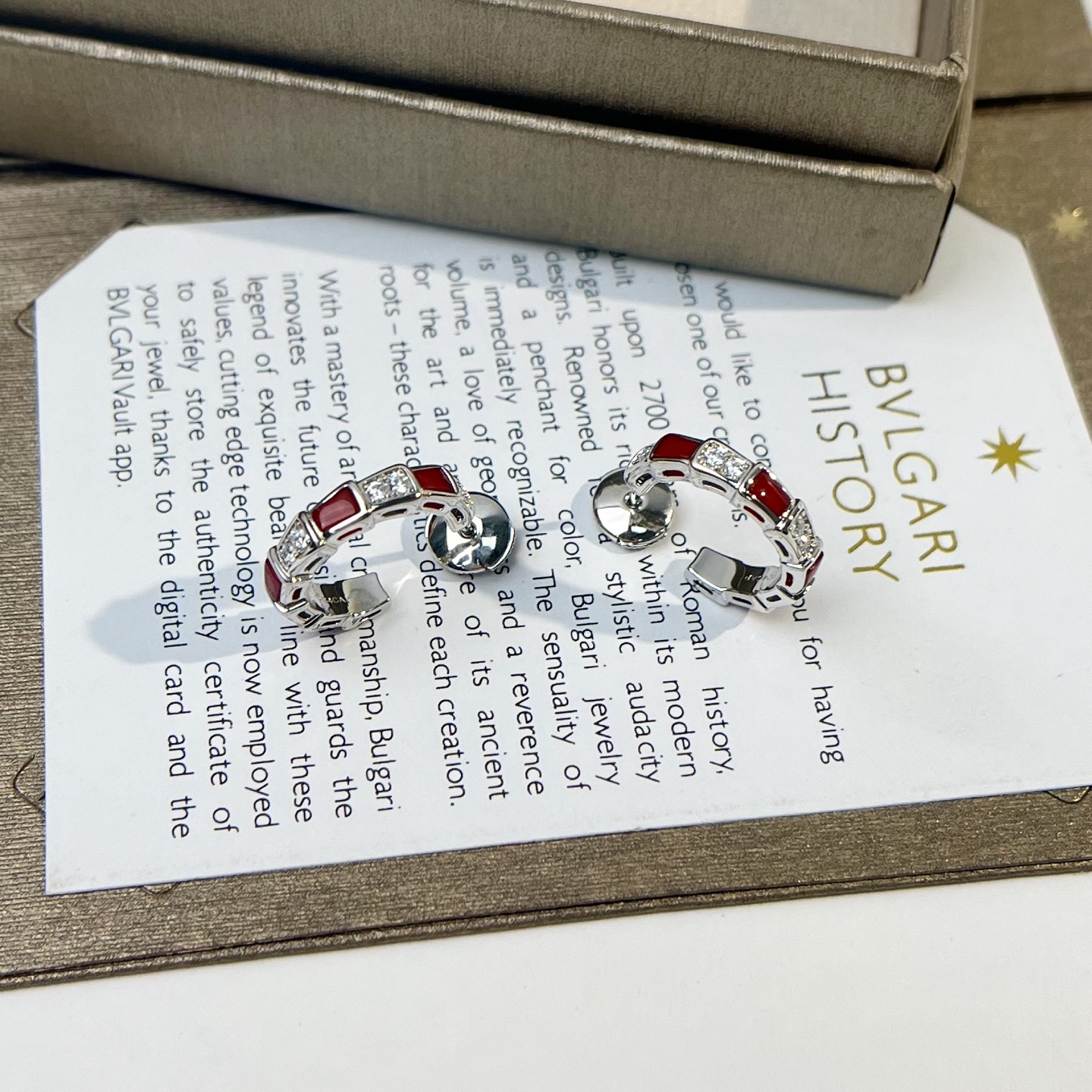 Bottega Veneta earrings-18