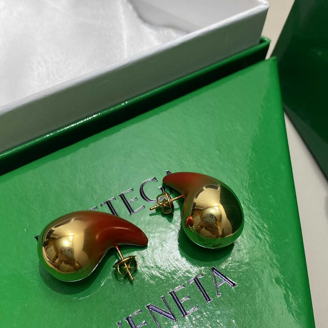 Bottega Veneta earrings-15