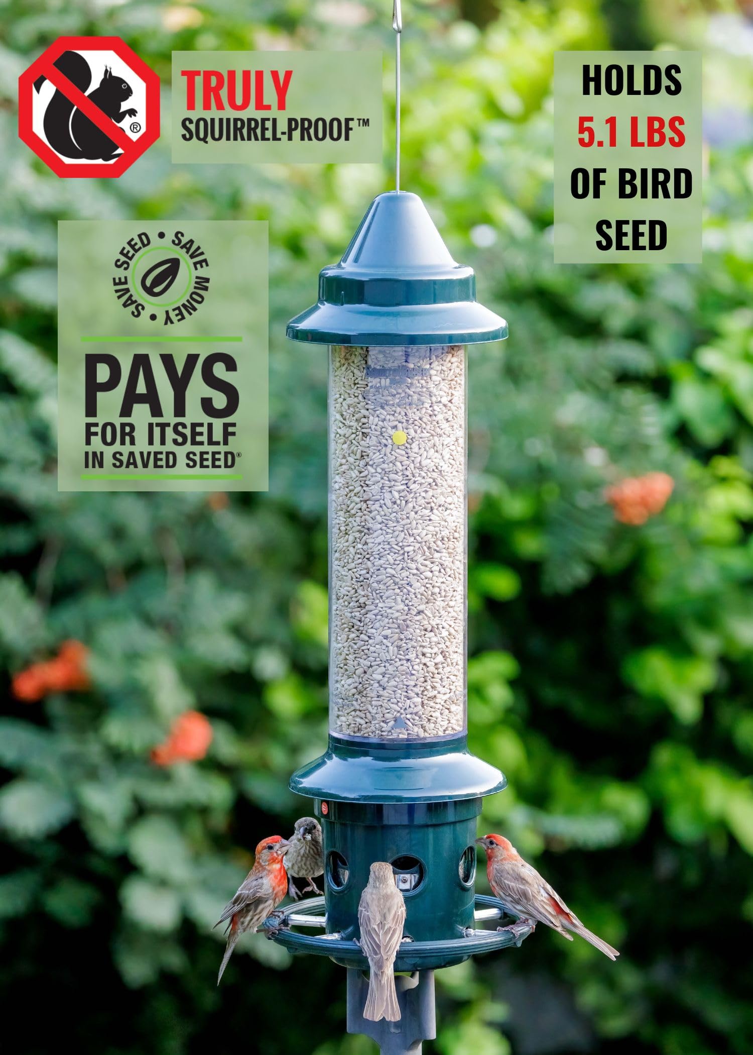 BROME Squirrel Buster Plus Bird Feeder with Cardinal Ring