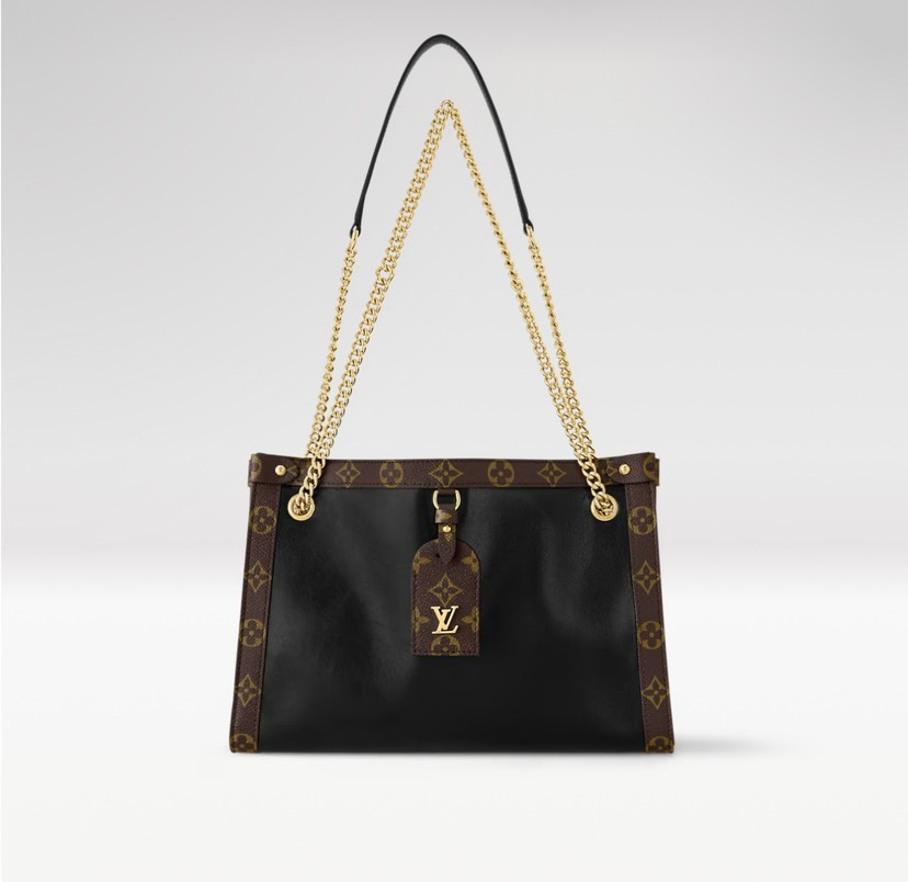 Louis Vuitton Hot New Product-118