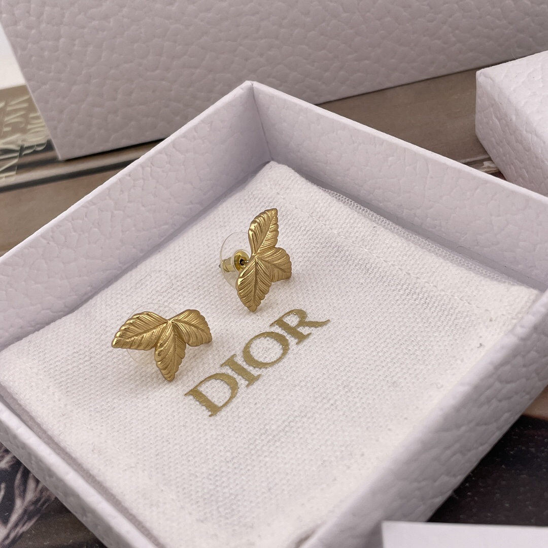 Dior earrings-30
