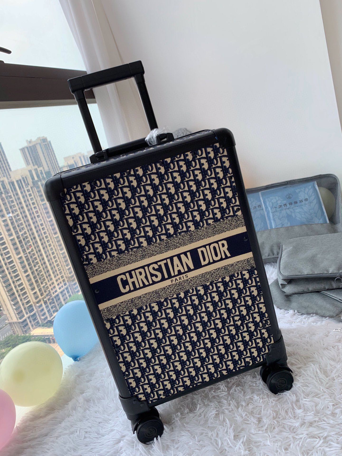 Dior luggage-35