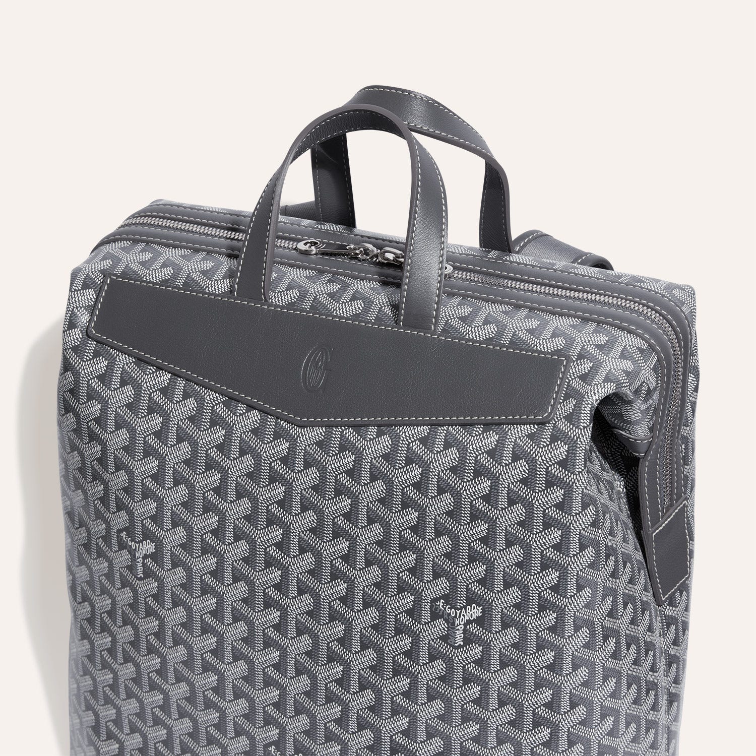 Cisalpin Backpack