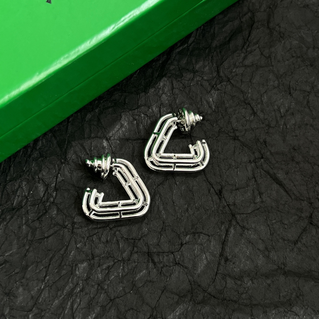 Bottega Veneta earrings-71