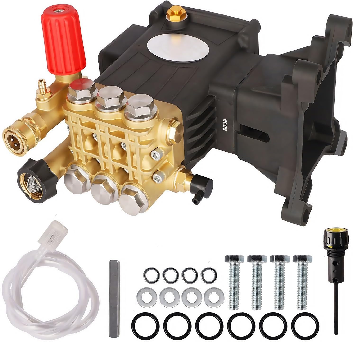 Biswing Pressure Washer Pump, 1