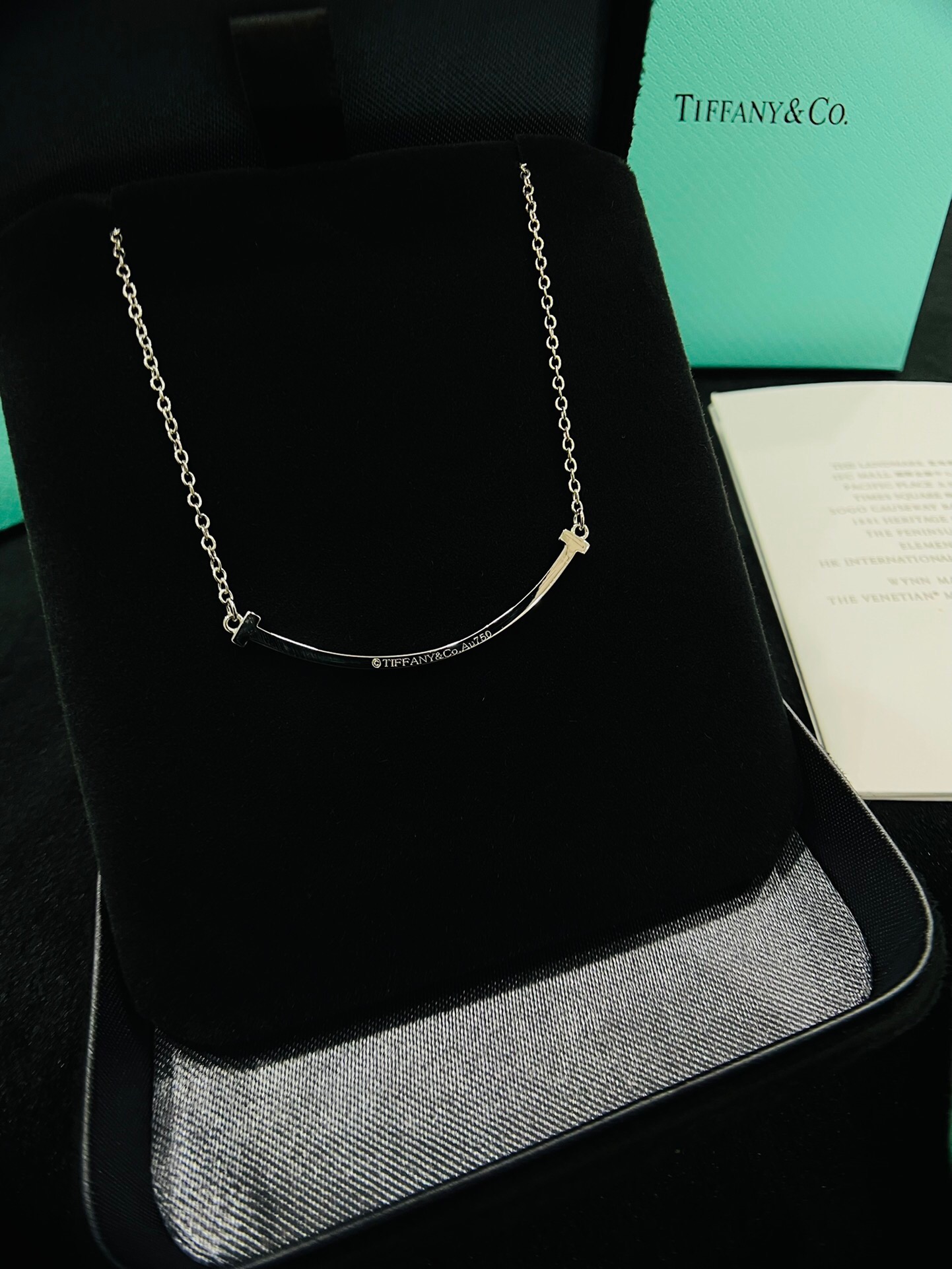tiffany necklace-3