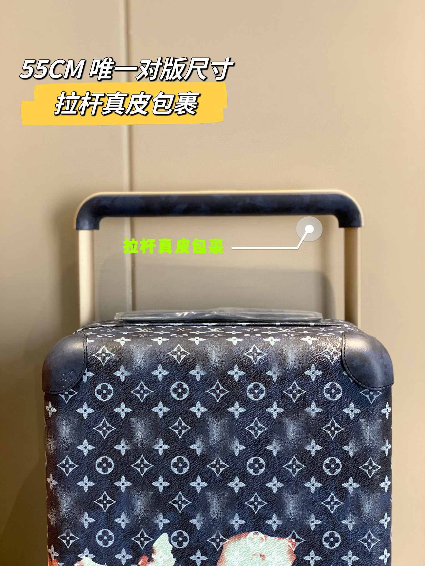 LV luggage-12