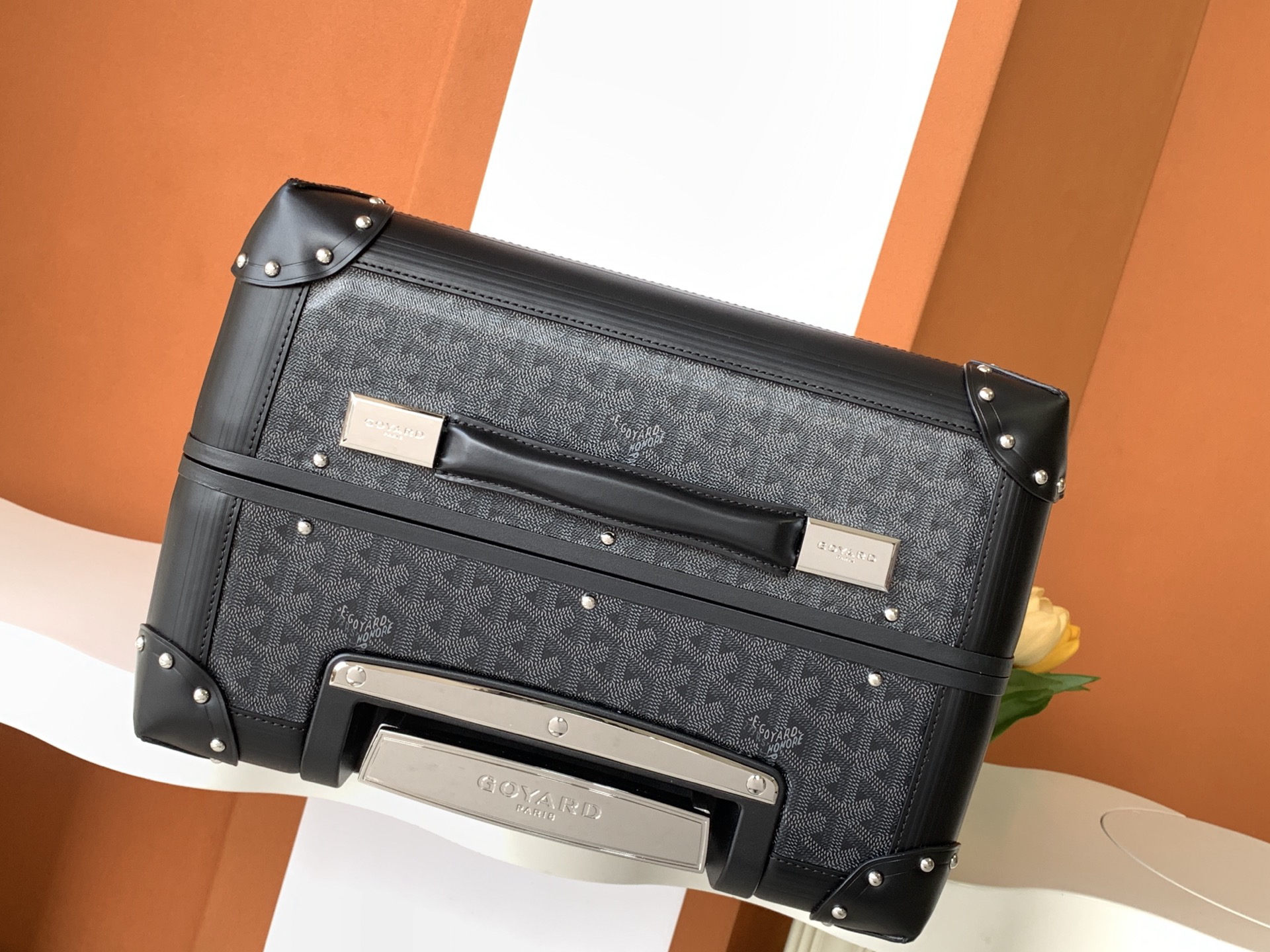 Goyard luggage-42