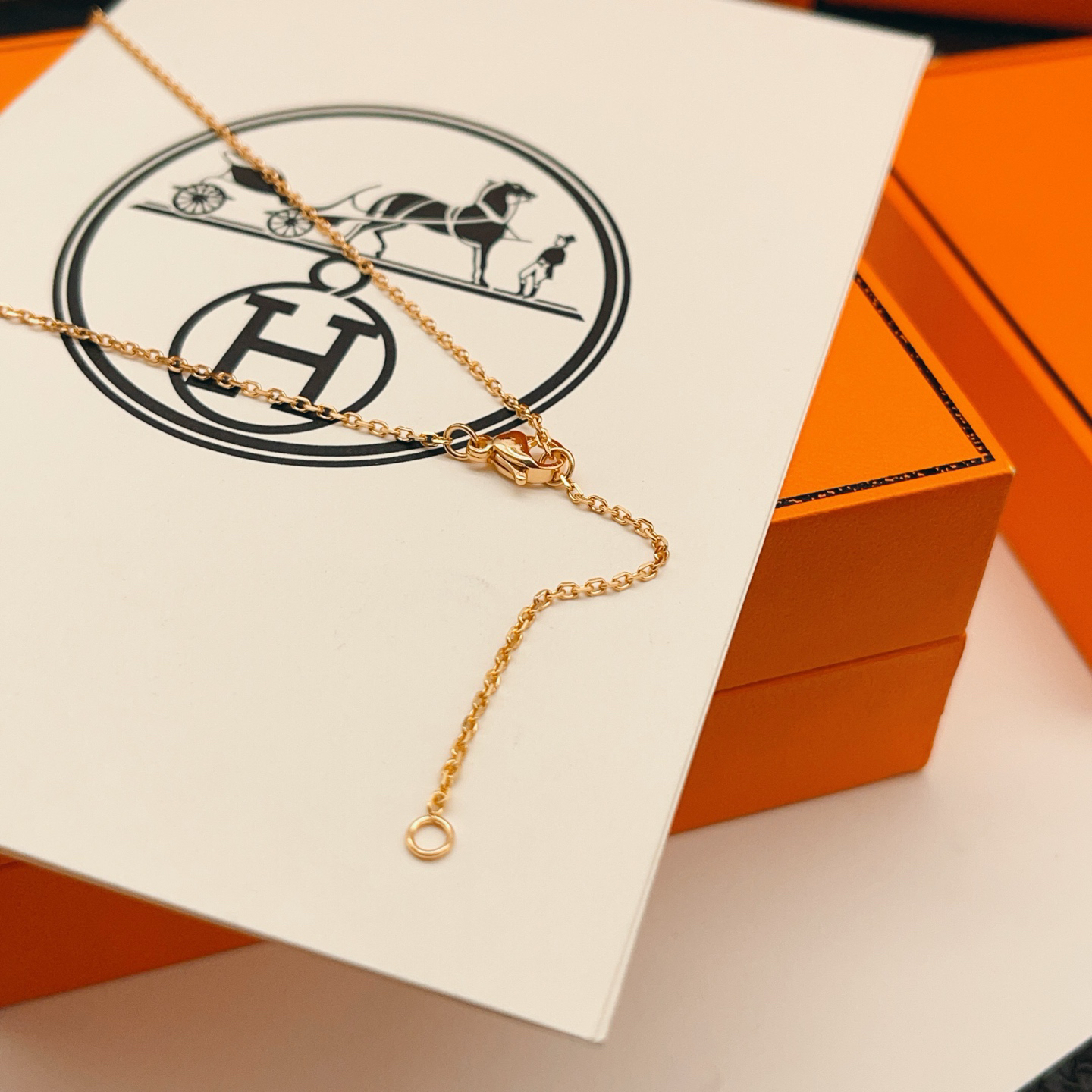 Hermes necklace-68