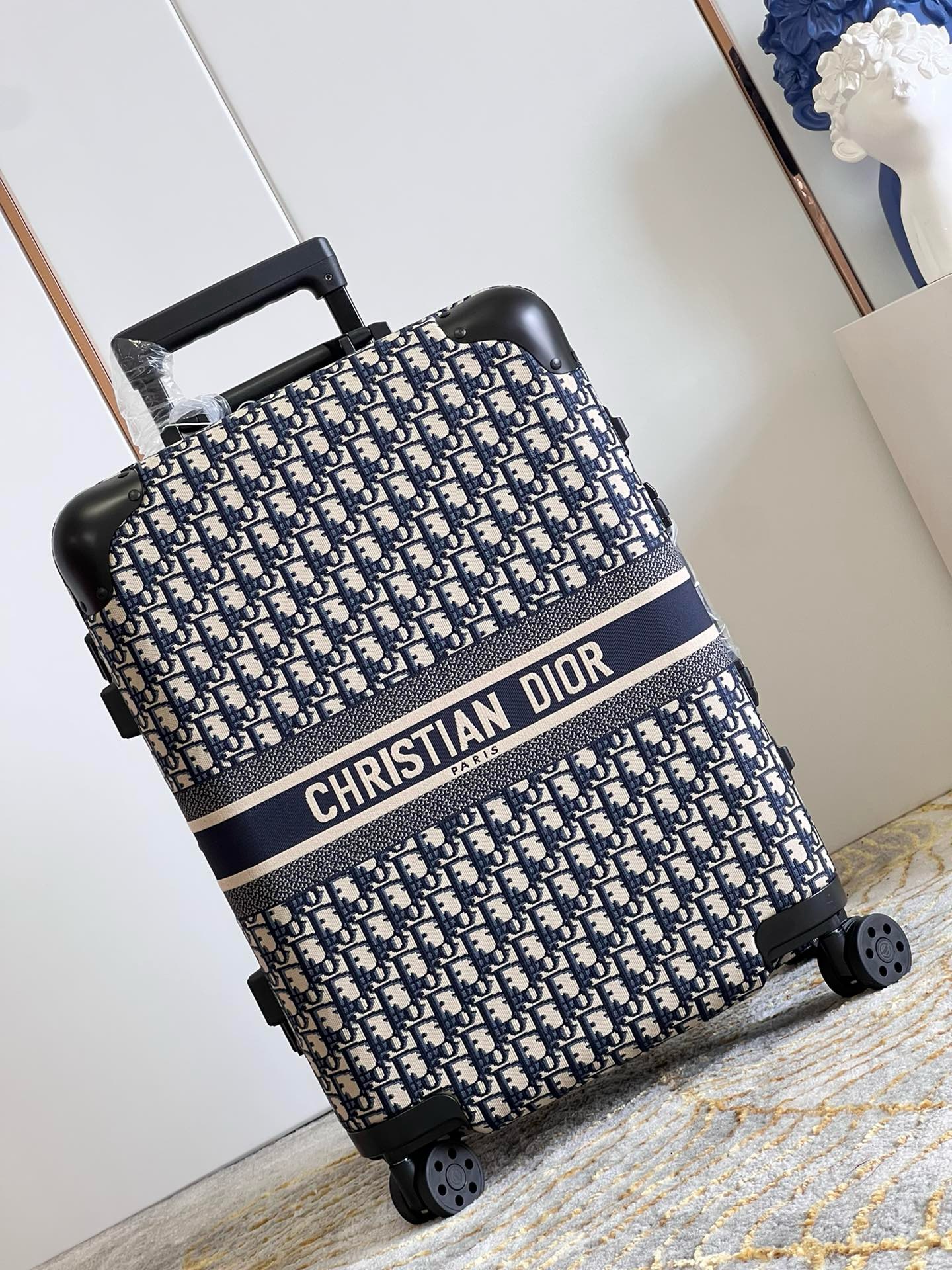 Dior luggage-20