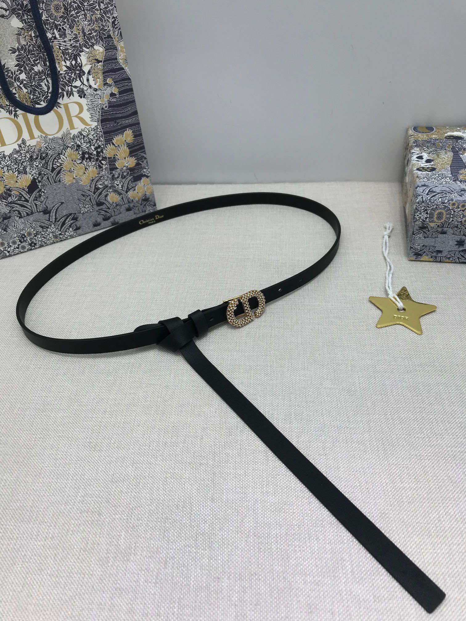 Dior belt-14
