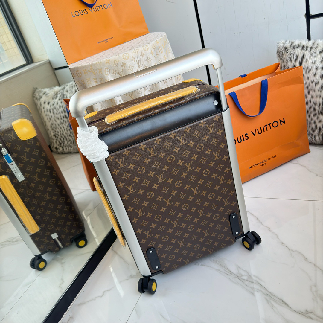 LV luggage-81
