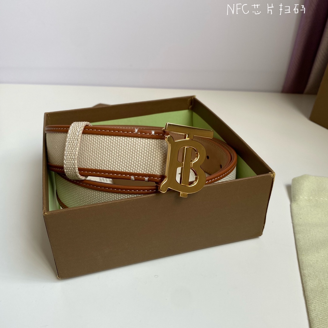 Burberry belt-3
