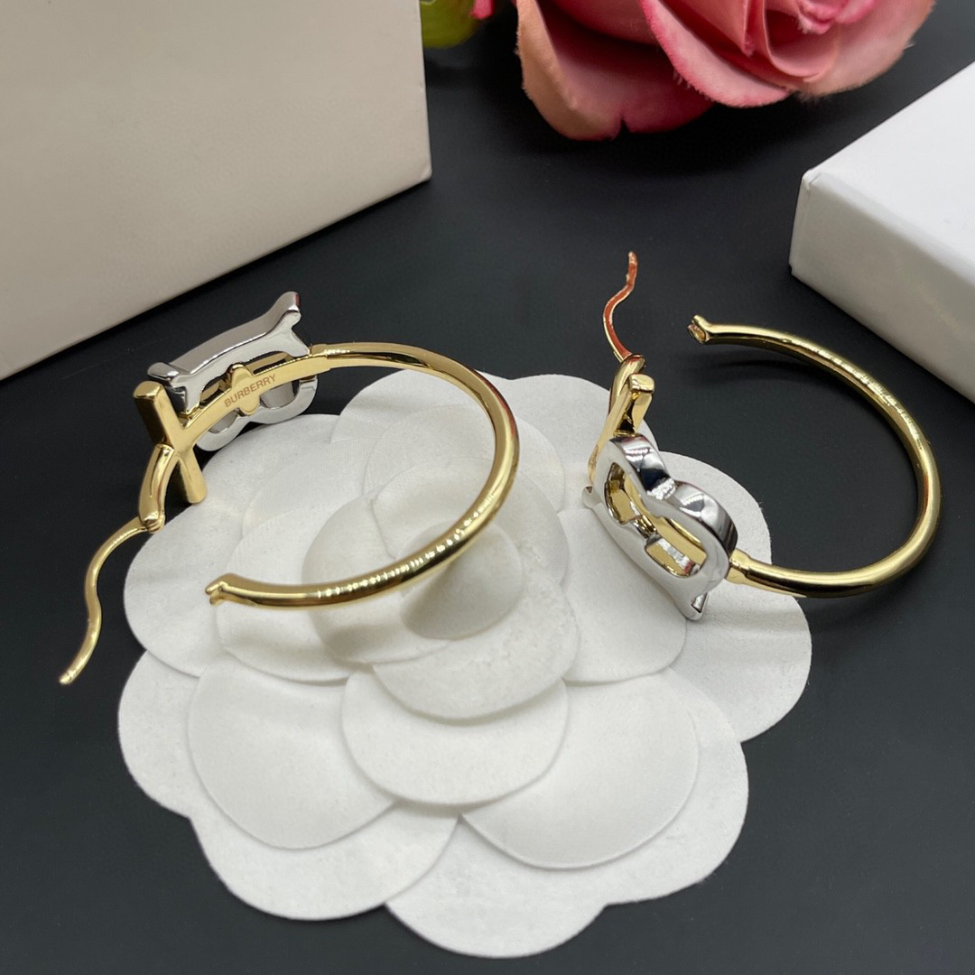 Balenciaga earrings-40