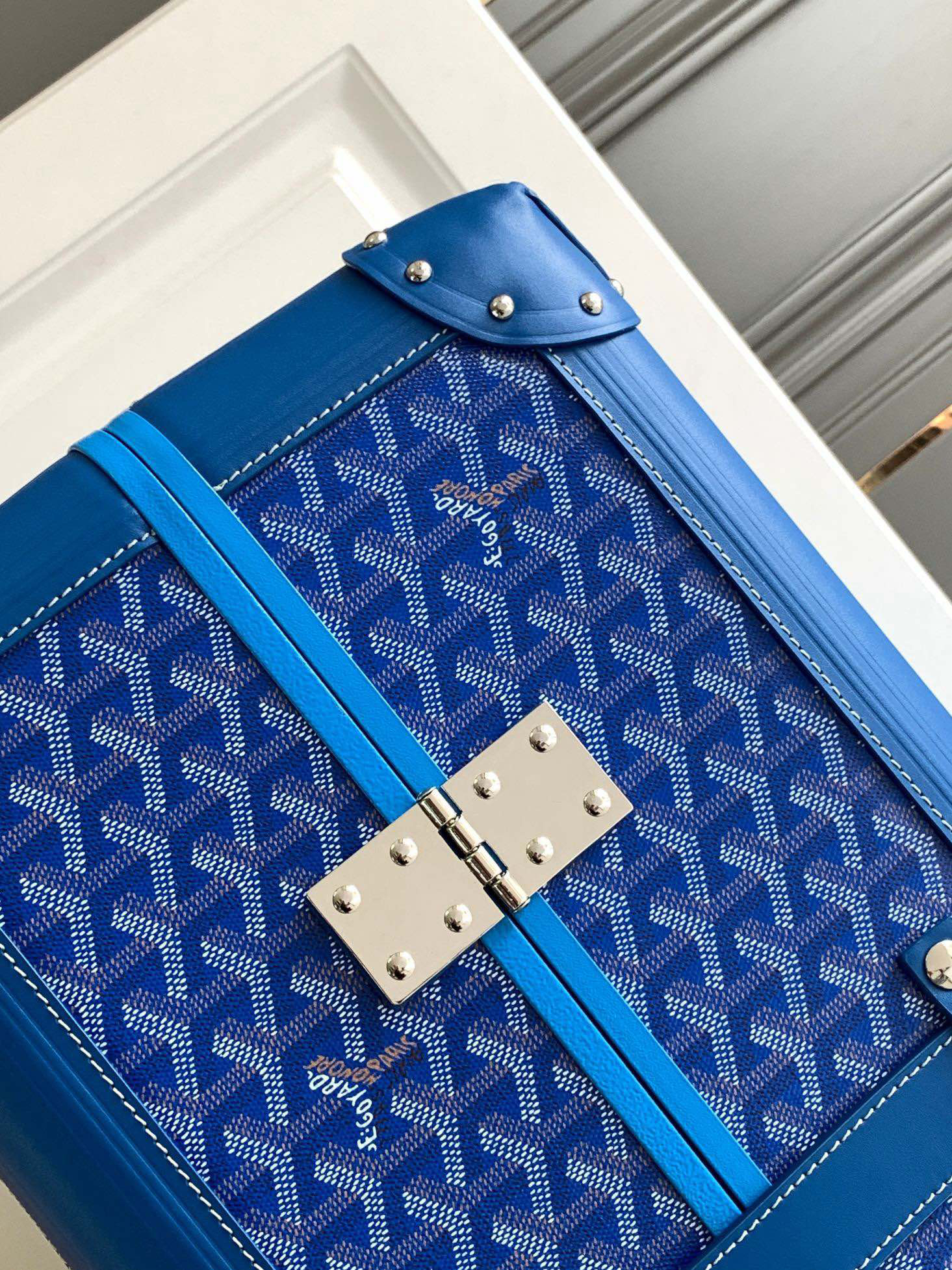 Goyard luggage-38