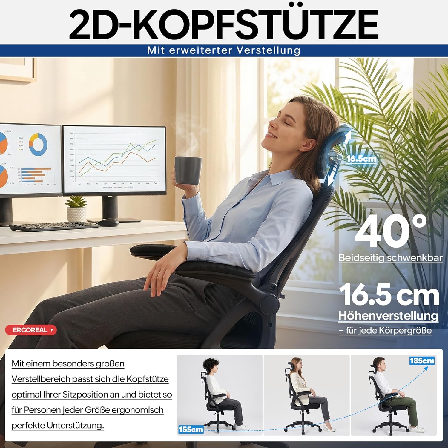 Ergonomic Office Chair, Mesh Desk Chair with Adjustable Lumbar Support & 2D Headrest, Foldable Armrests, Class 3 Gas Lift, Up to 330 lbs, Home Office Computer Chair (Black)