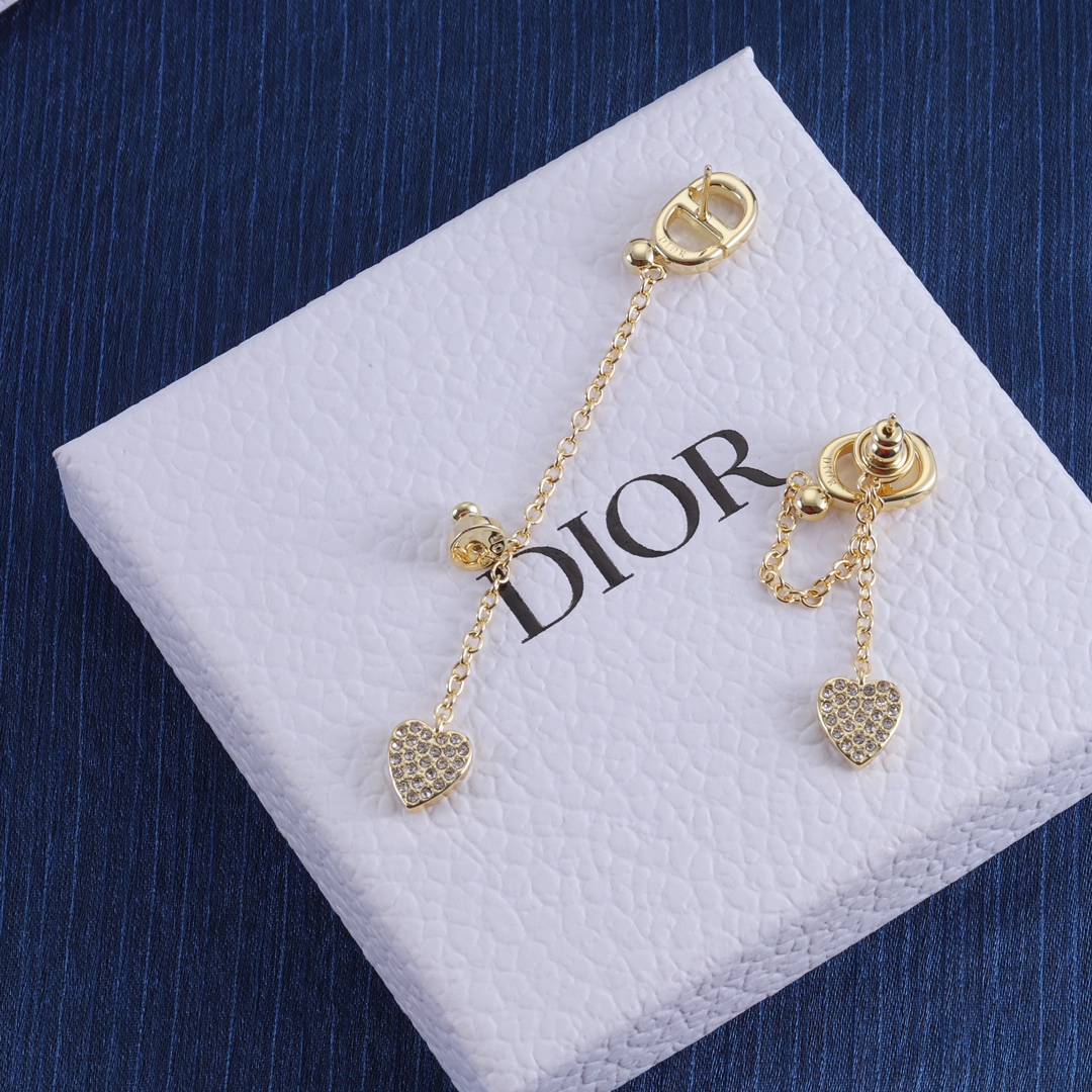 Dior earrings-43