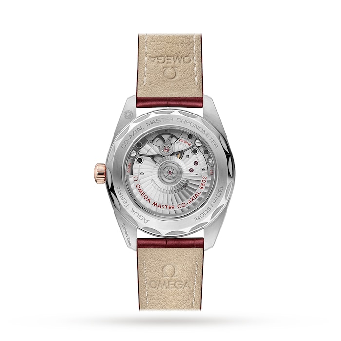 Seamaster Aqua Terra Small Seconds 38mm Ladies Watch