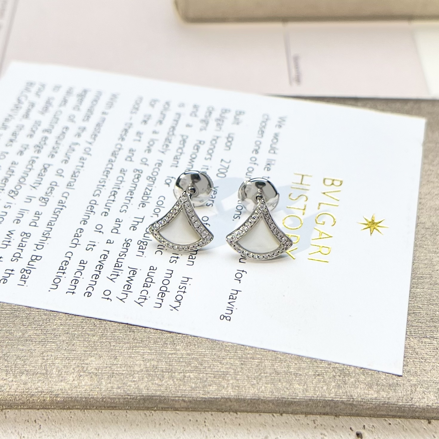 Bottega Veneta earrings-31