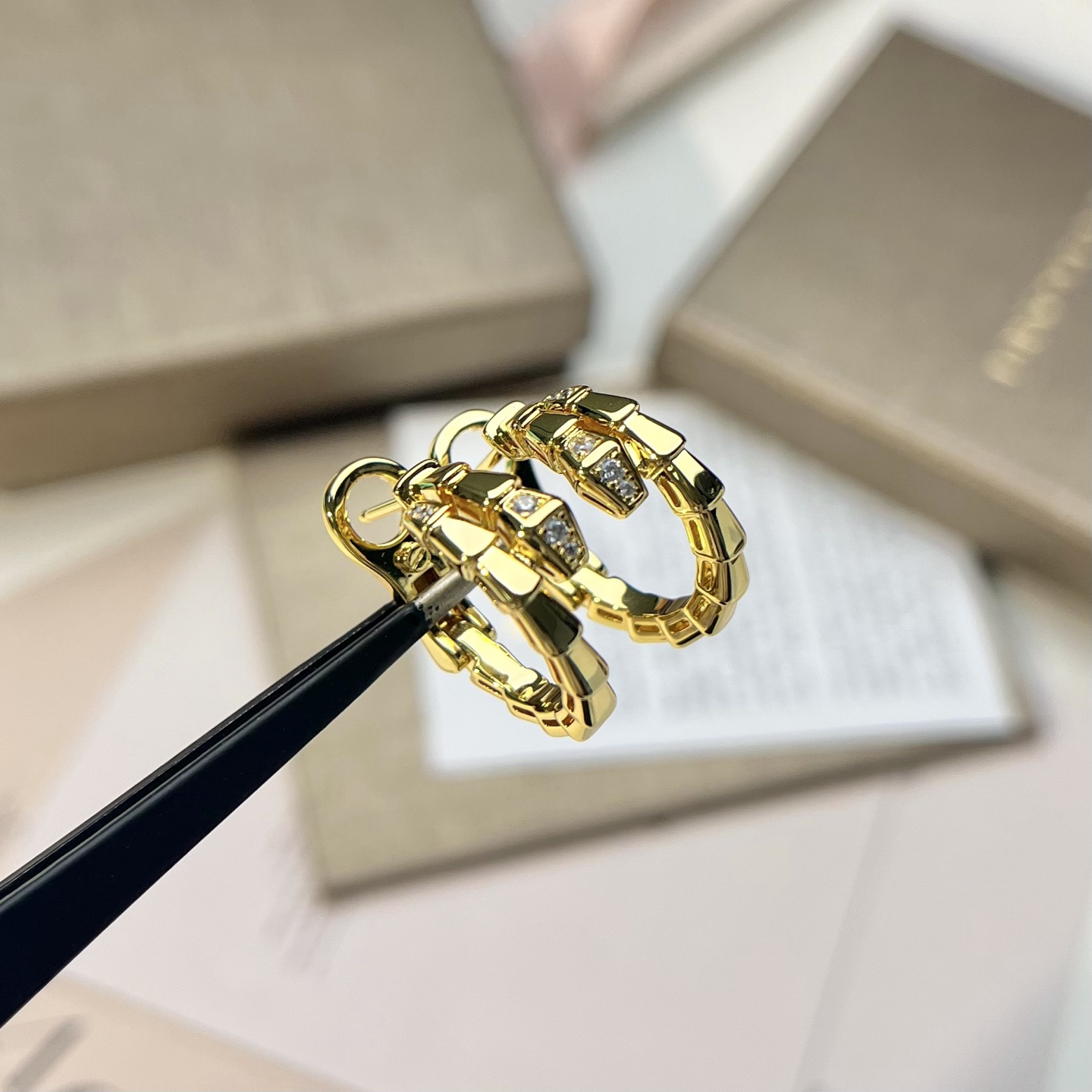 Bottega Veneta earrings-28