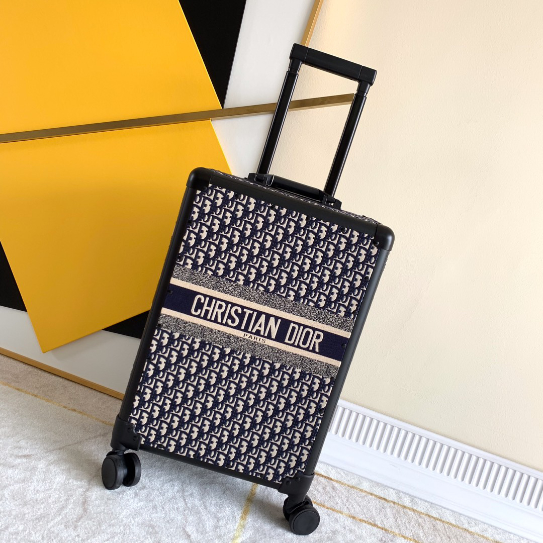 Dior luggage-31