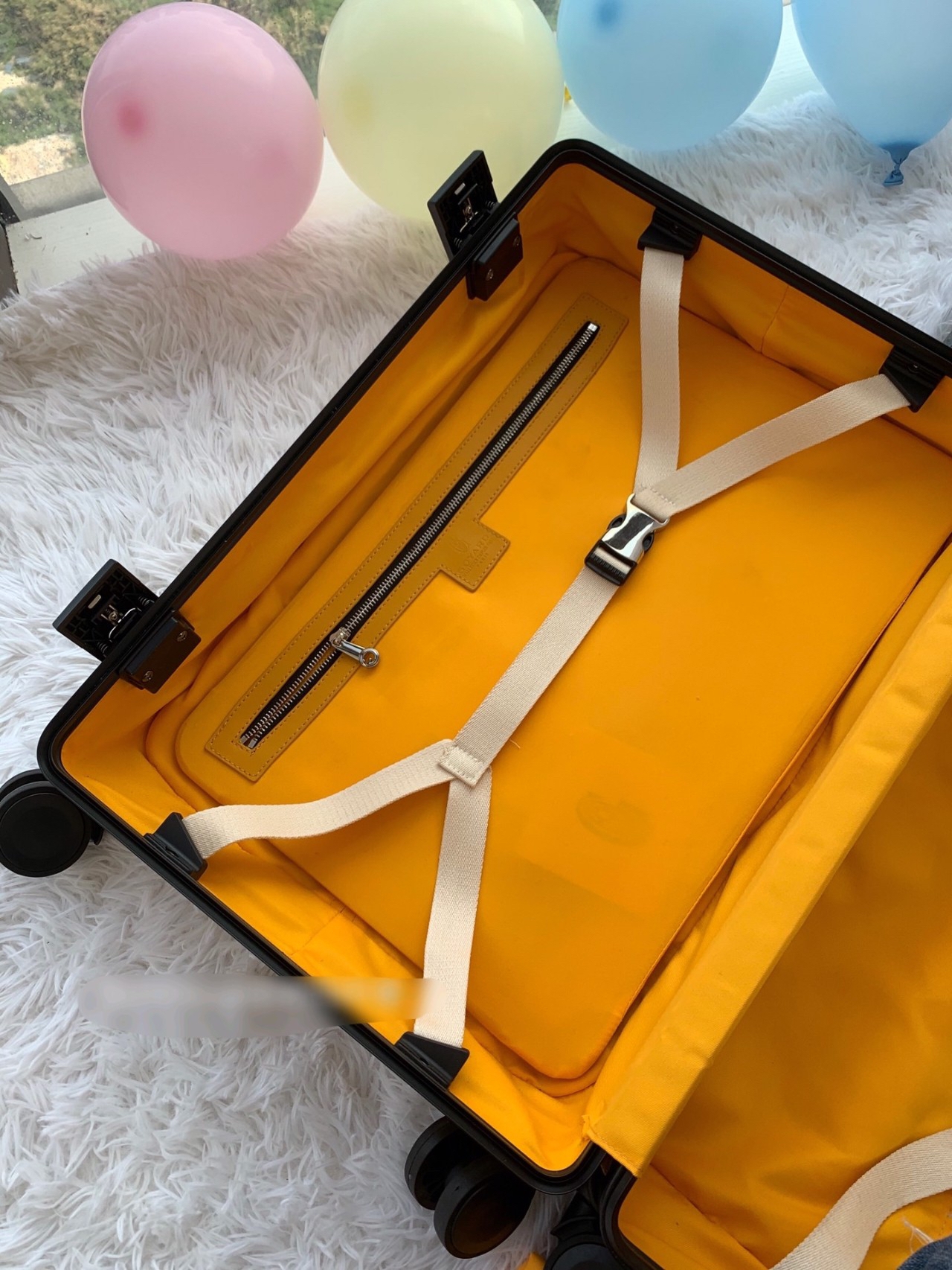 Goyard luggage-45