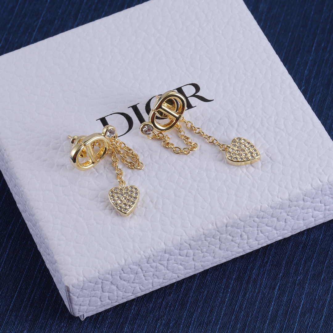 Dior earrings-43