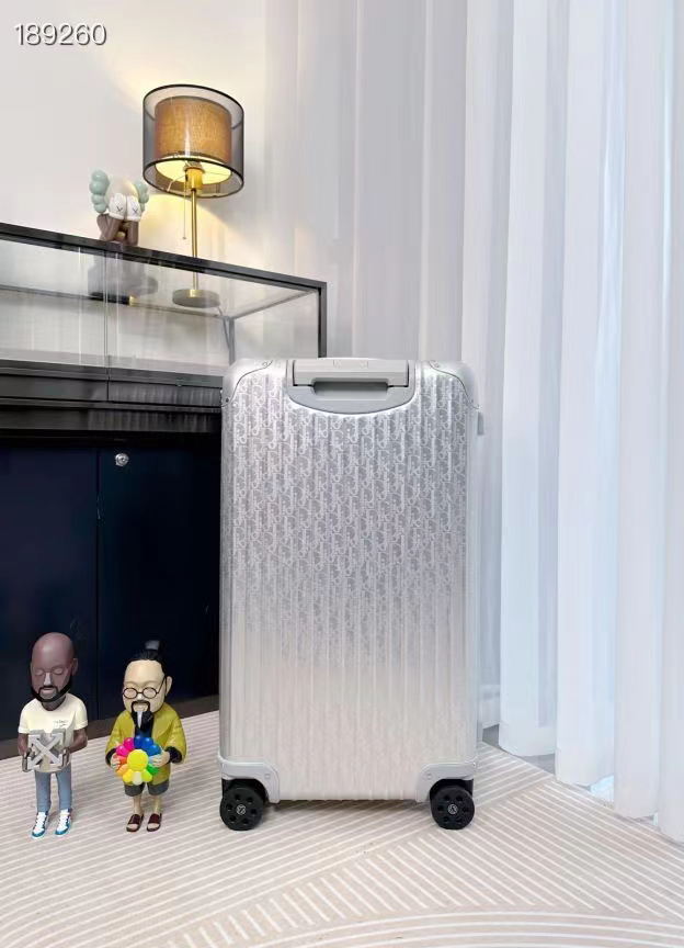 Dior luggage-3