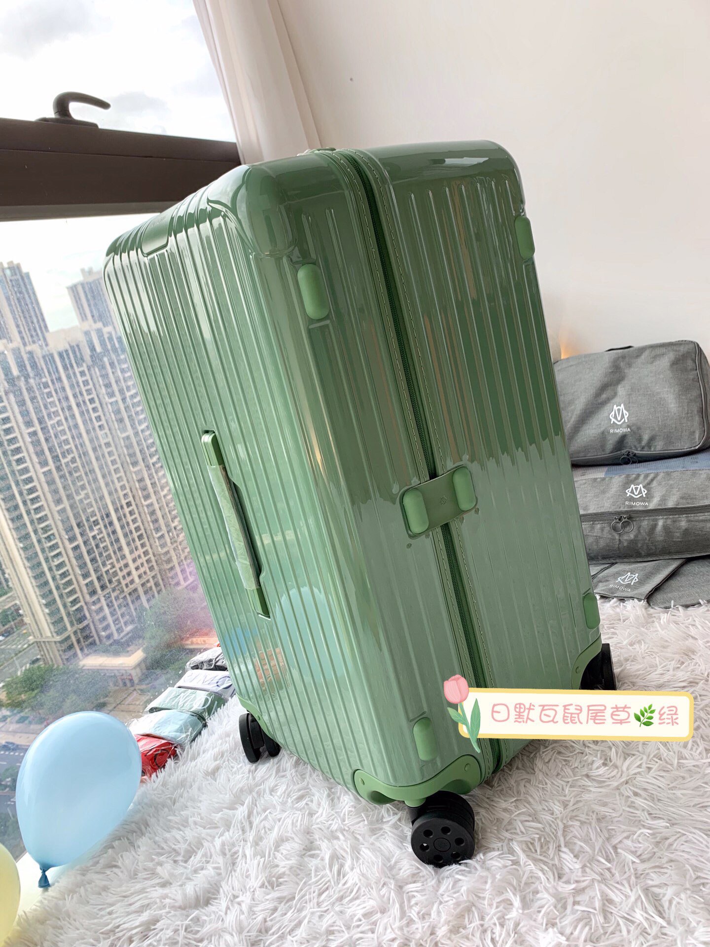 RIMOWA luggage-95