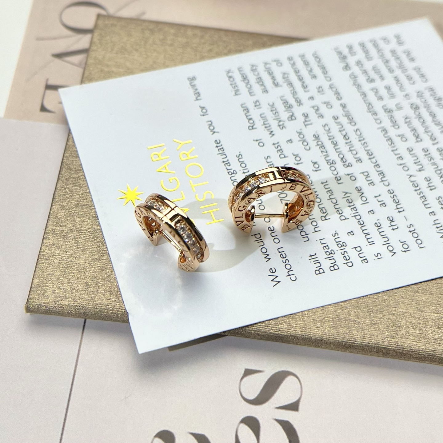 Bottega Veneta earrings-25