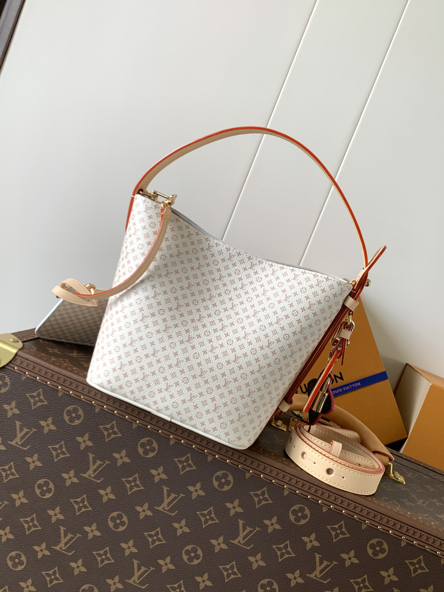 Louis Vuitton Hot New Product-199
