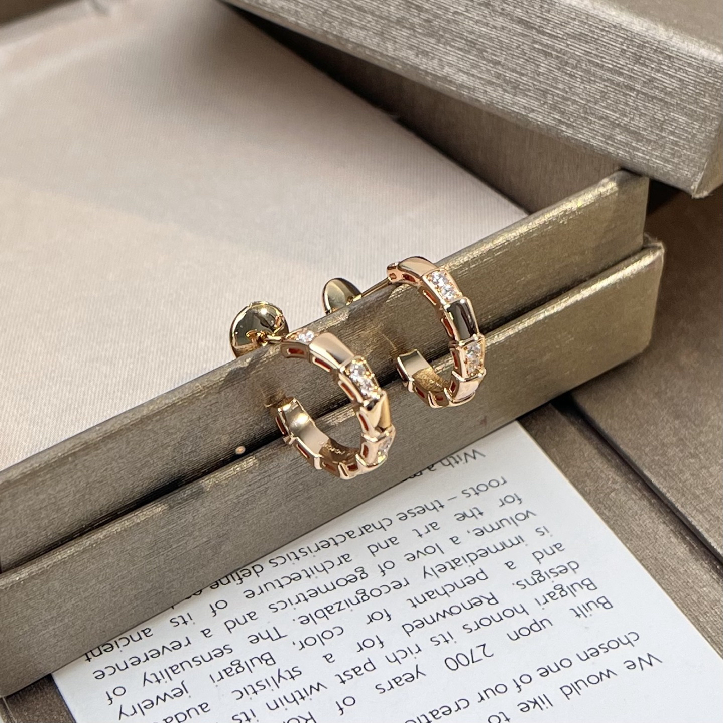 Bottega Veneta earrings-45