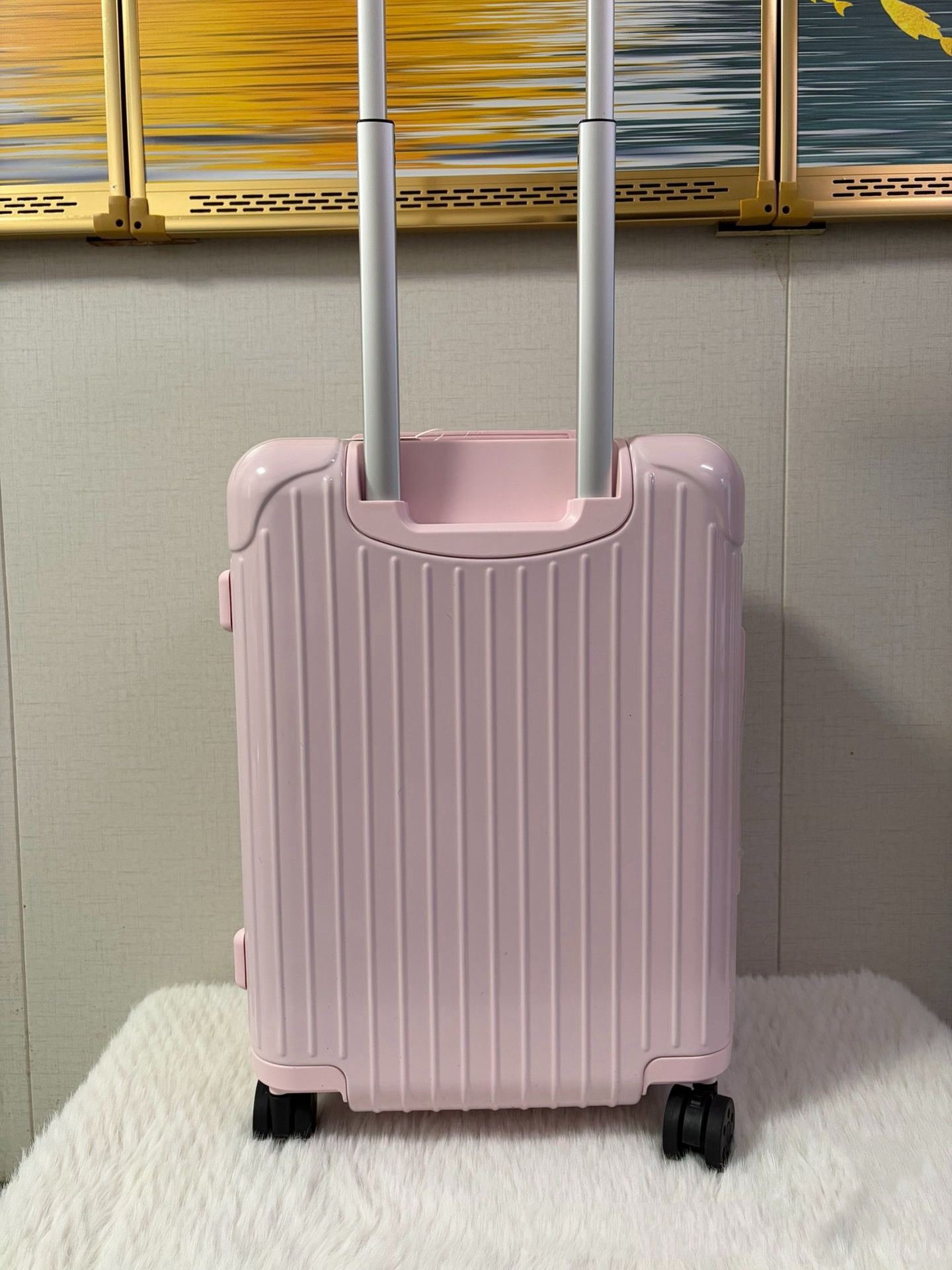 RIMOWA luggage-109