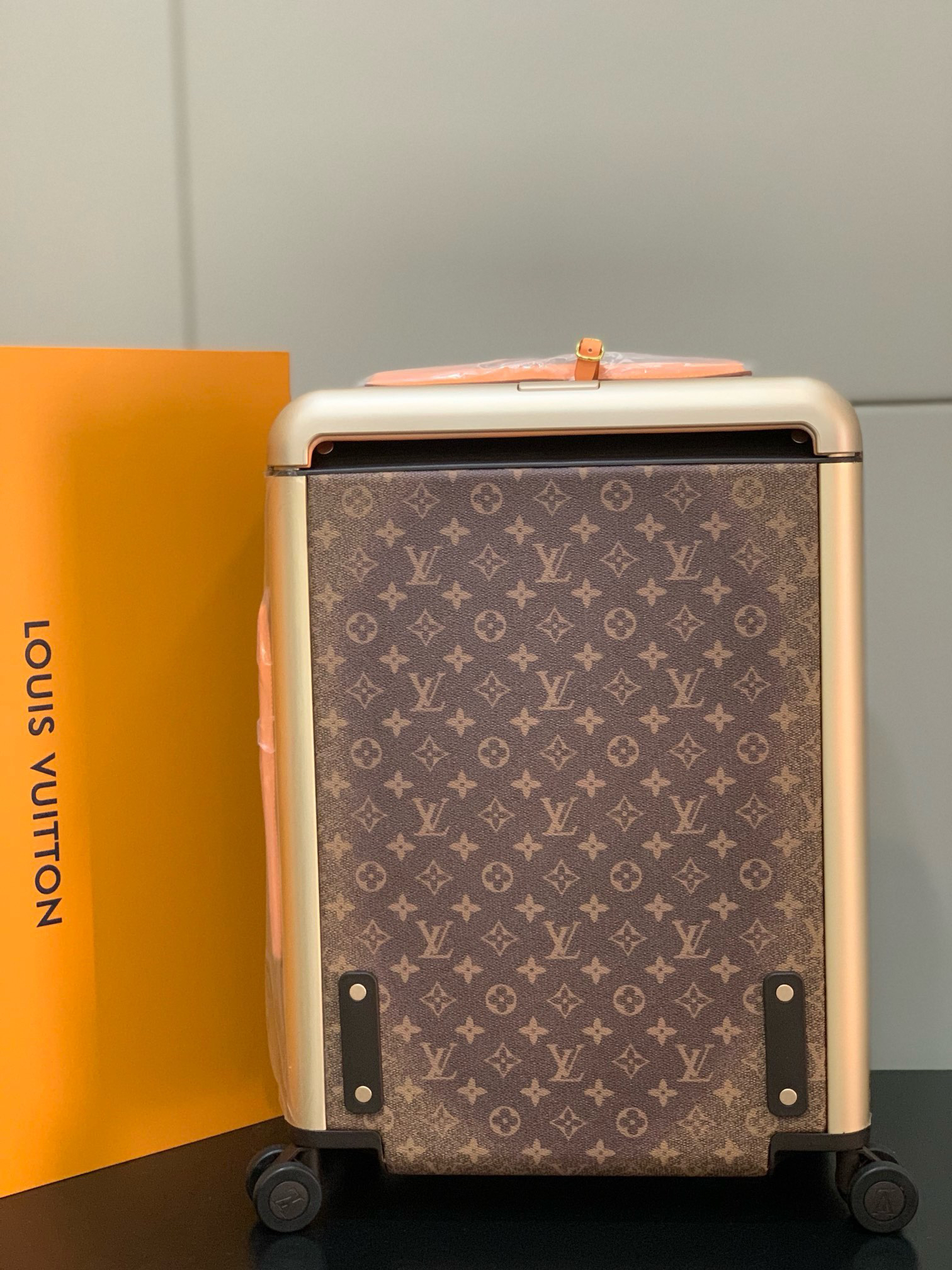 LV luggage-29