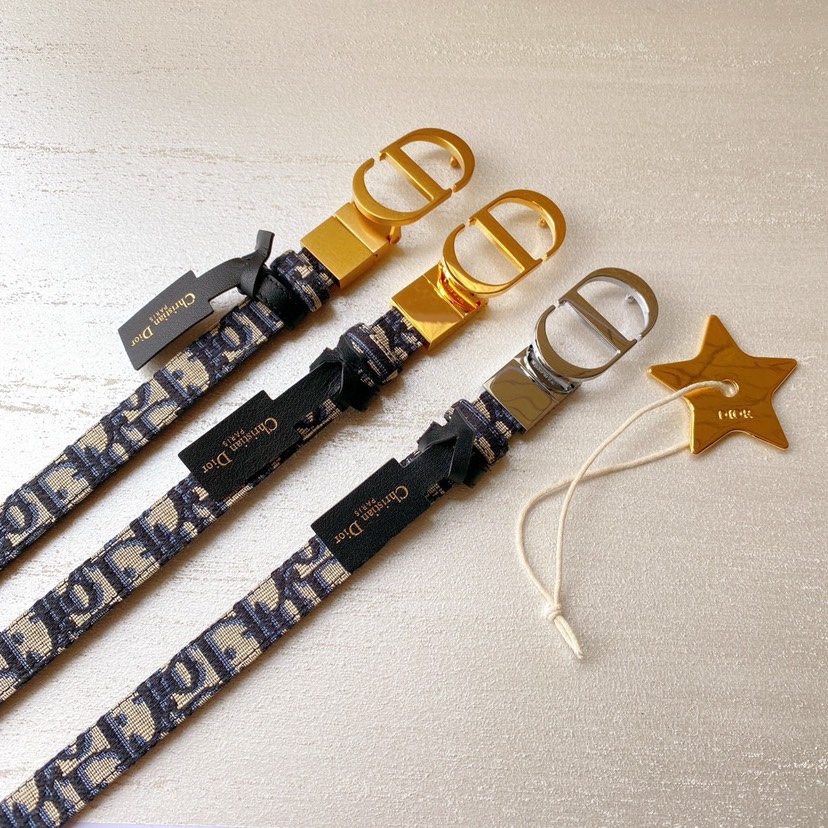Dior belt-30