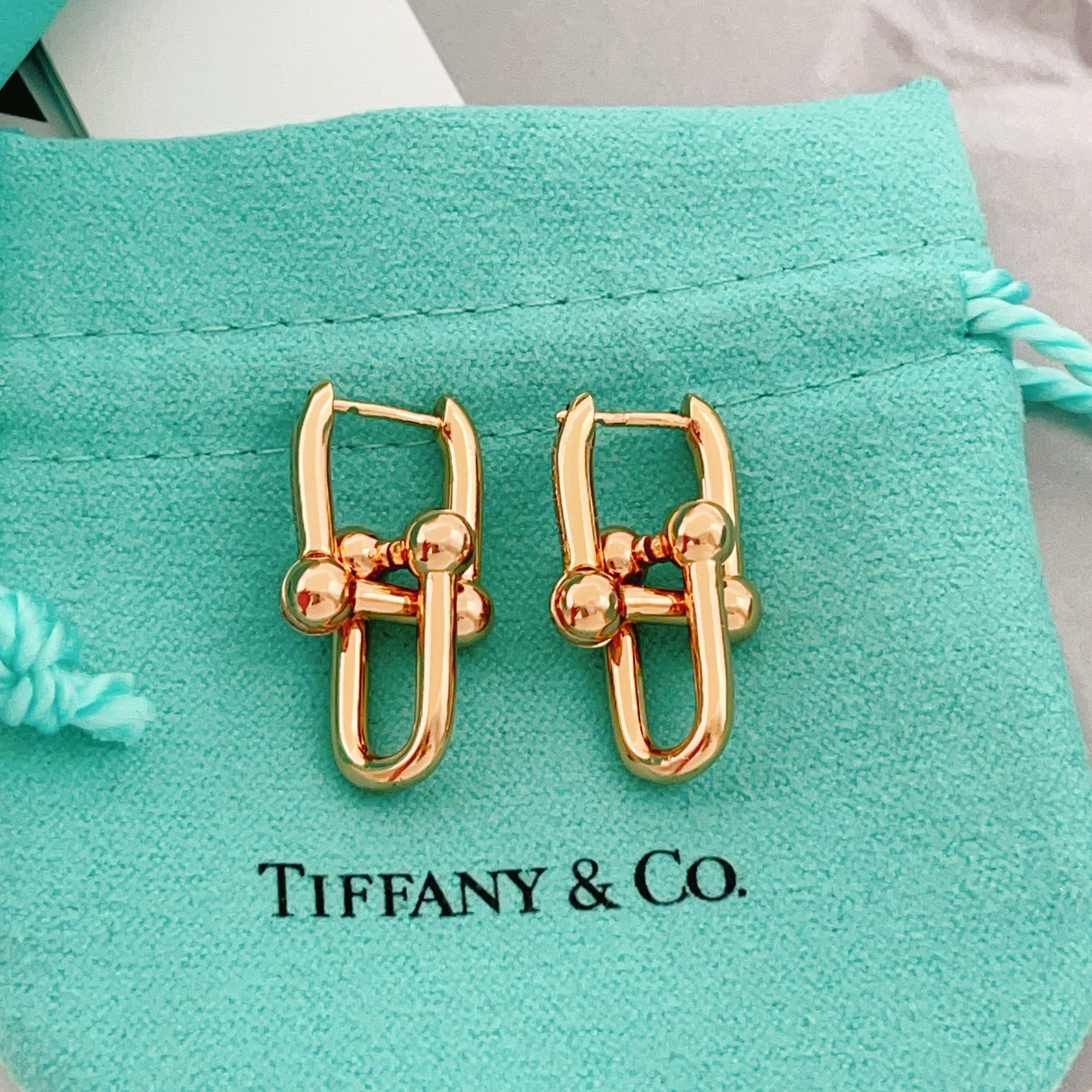 tiffany earrings-73