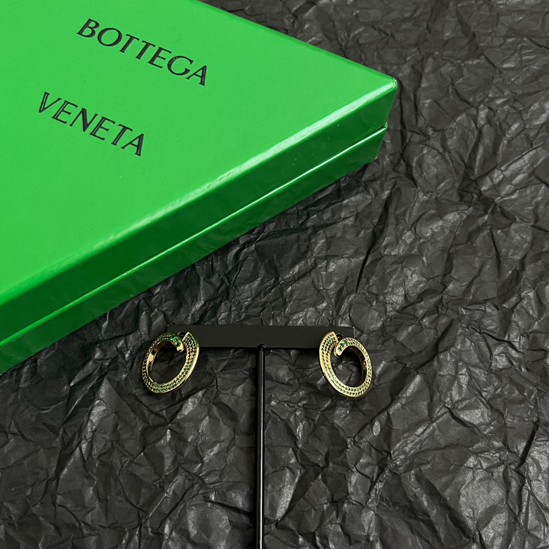 Bottega Veneta earrings-12