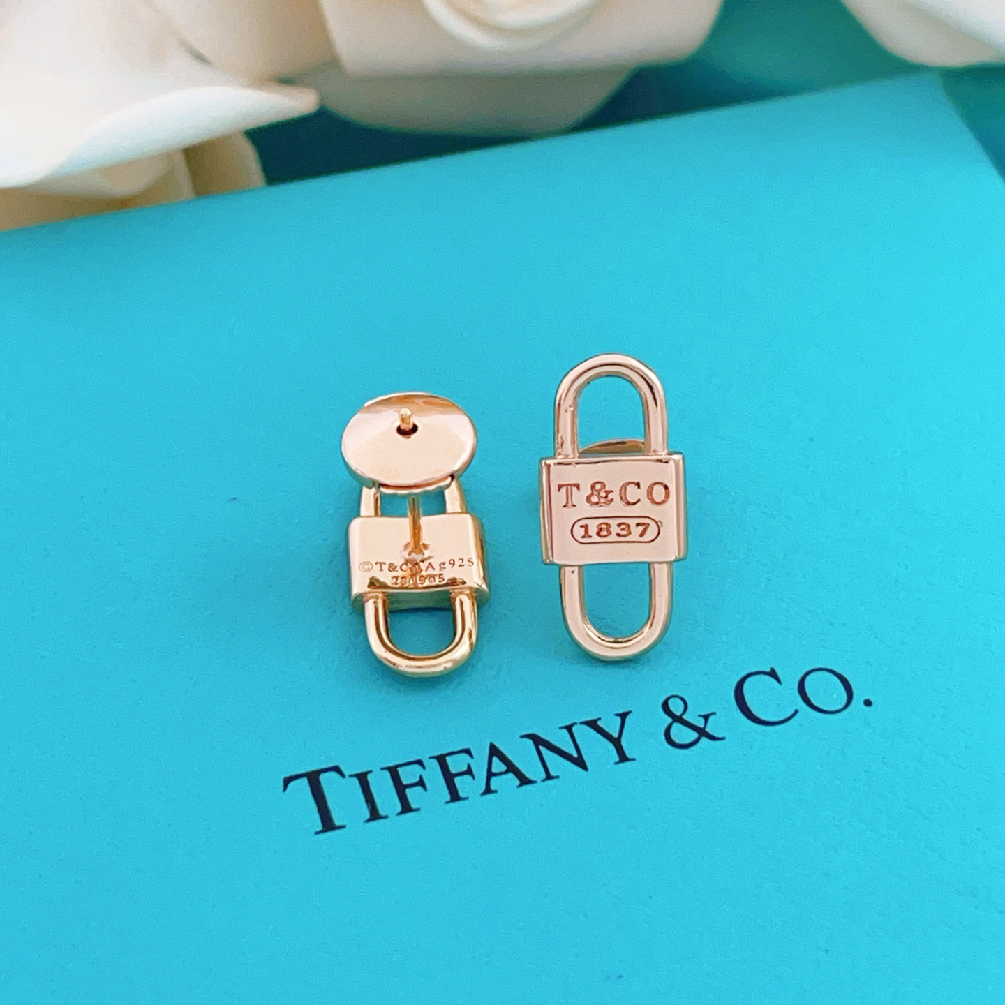 tiffany earrings-68