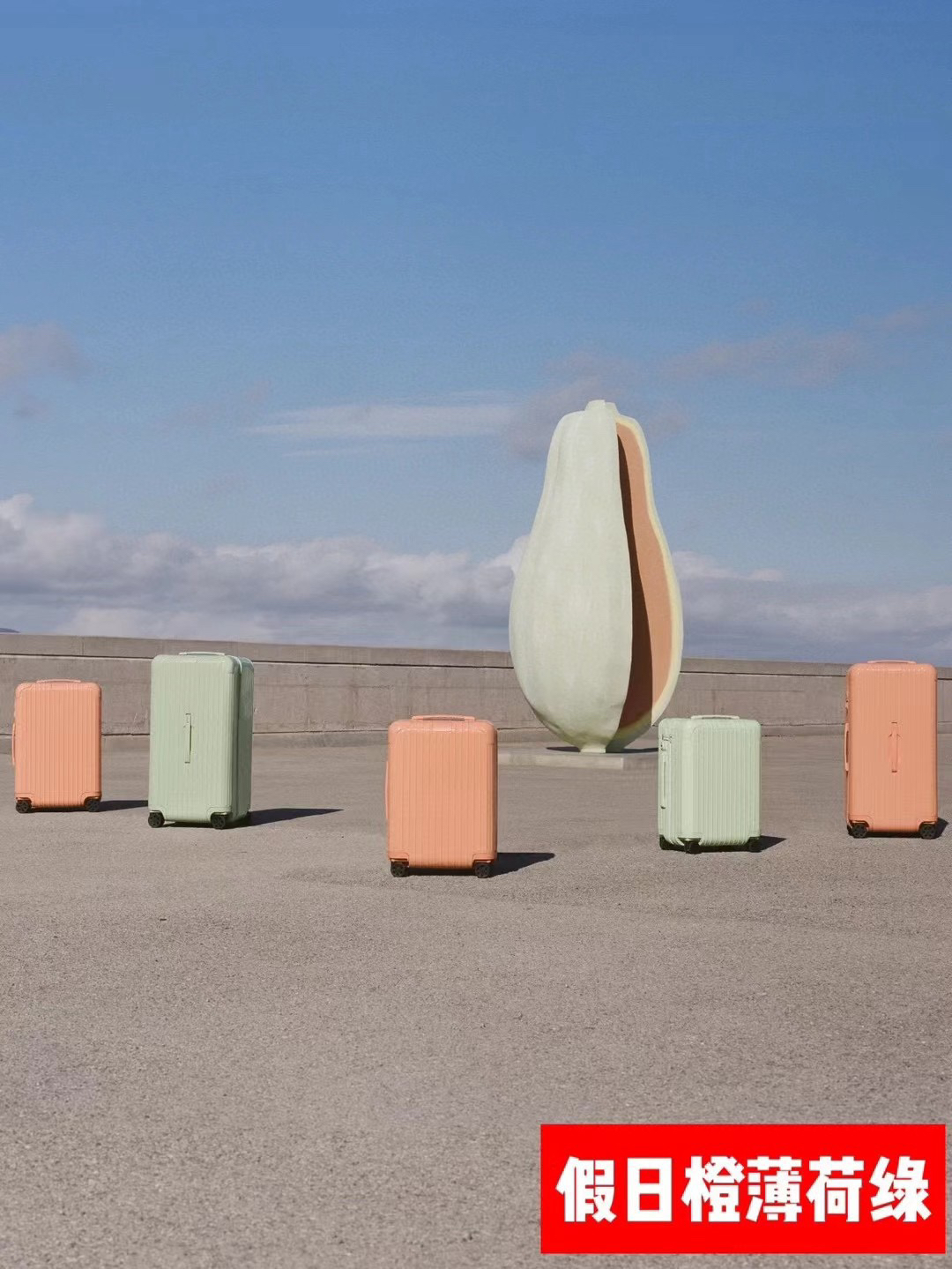 RIMOWA luggage-88