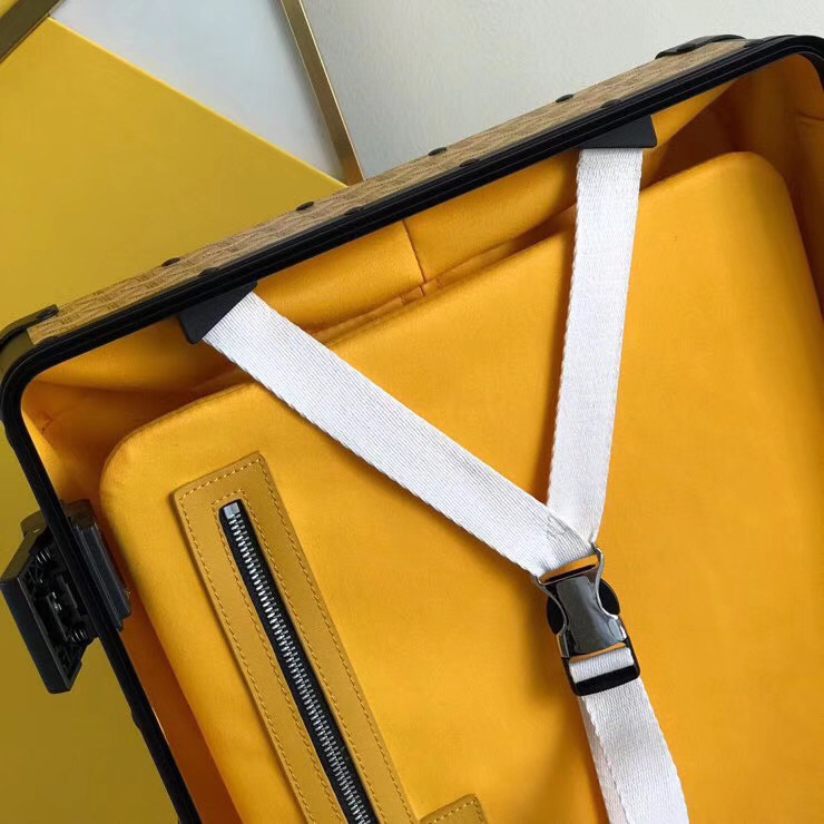 Goyard luggage-52