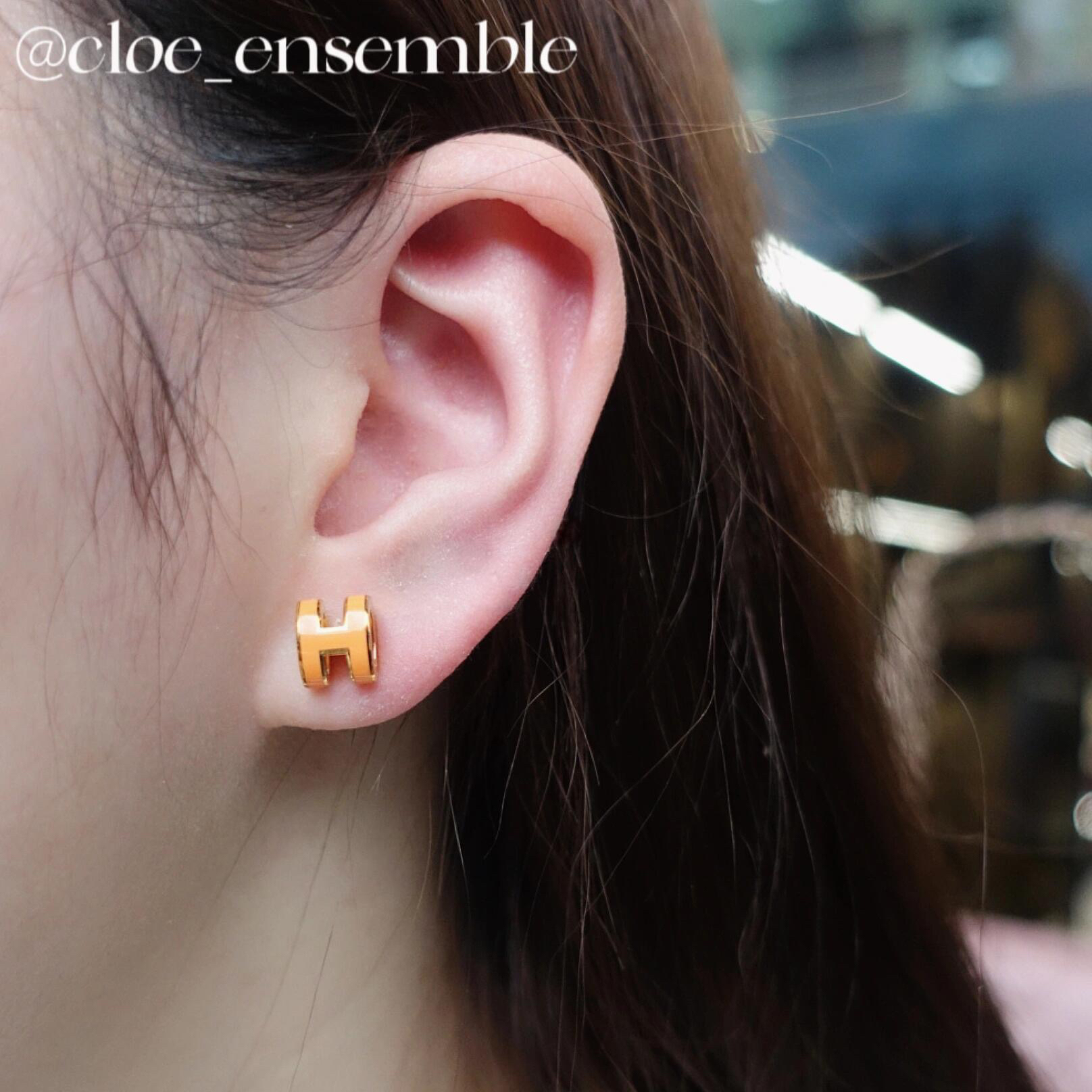 Hermes earrings-75