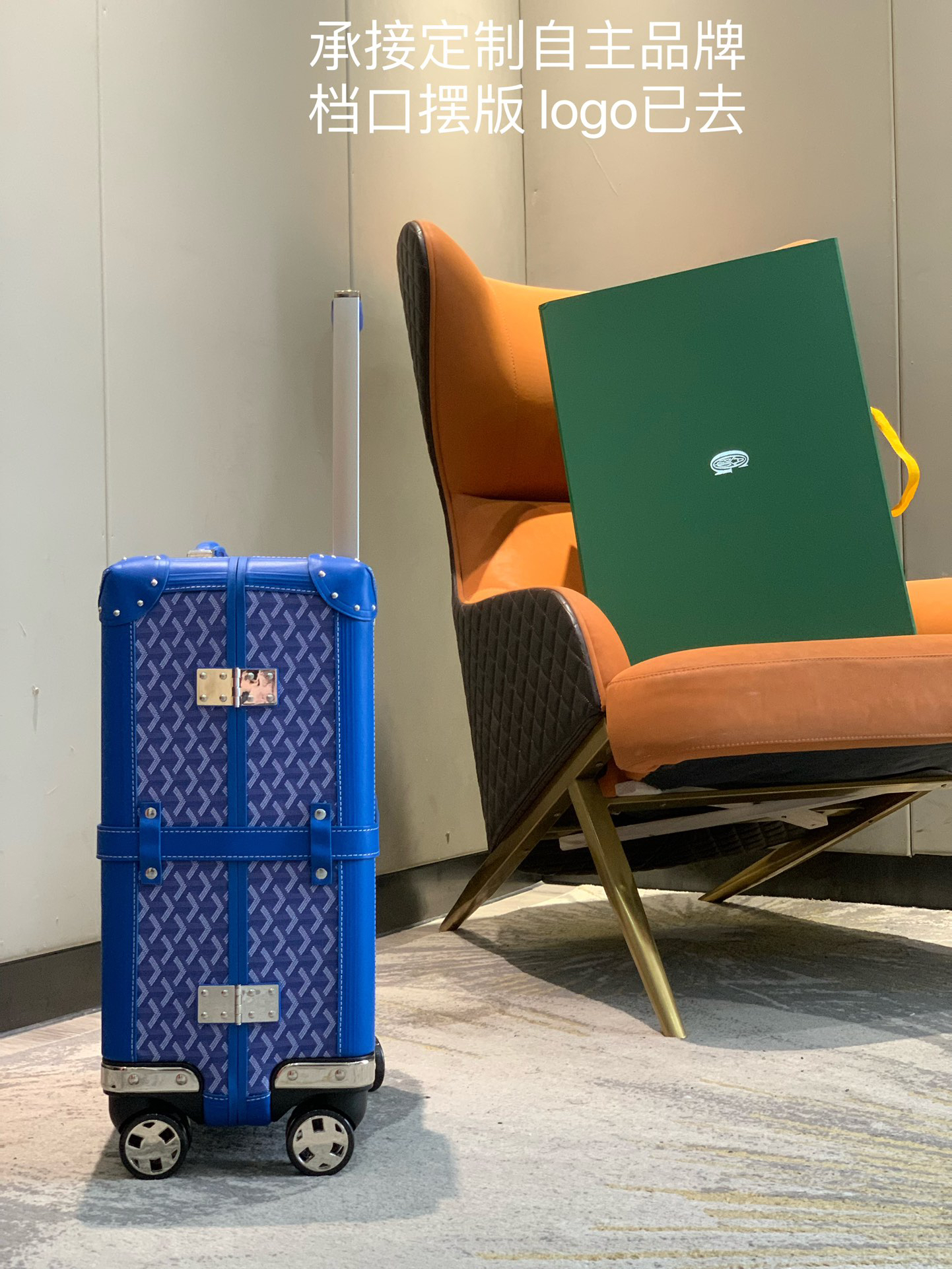 Goyard luggage-9