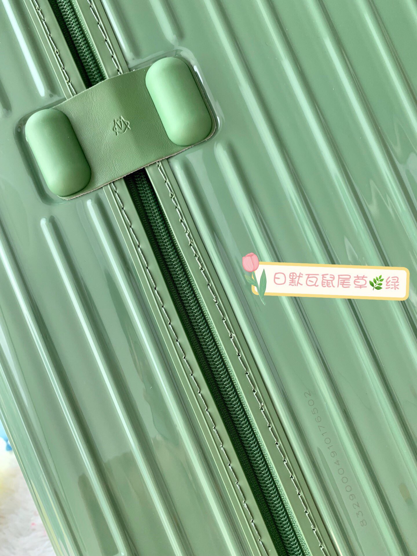 RIMOWA luggage-95