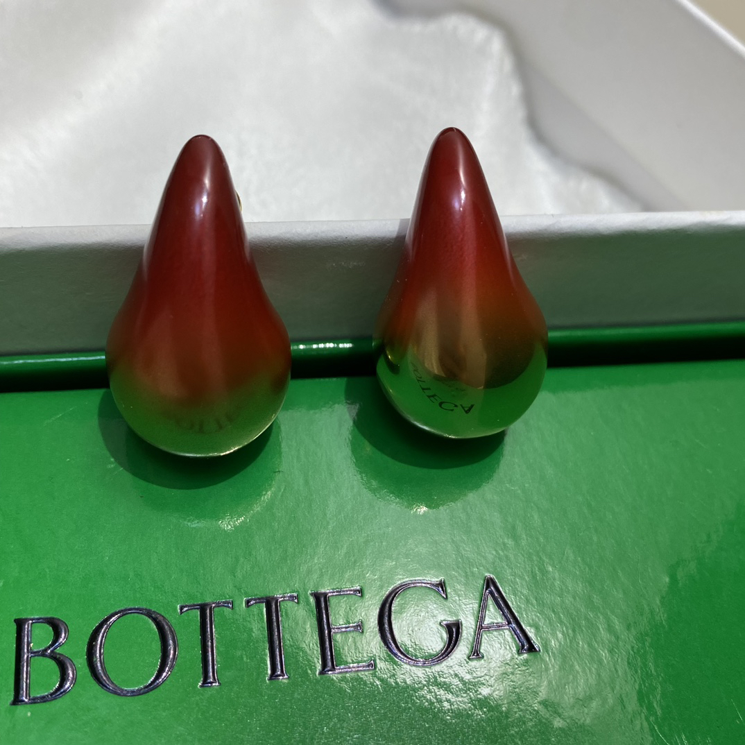 Bottega Veneta earrings-15