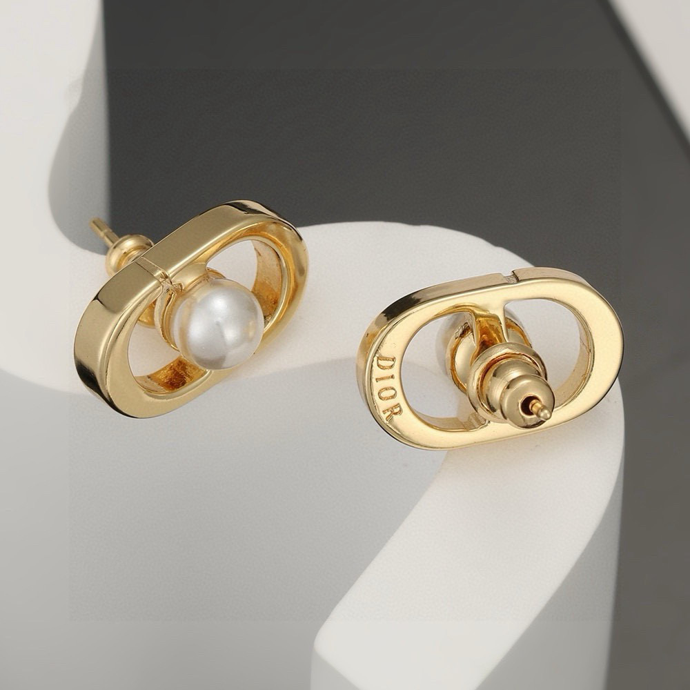 Dior earrings-64