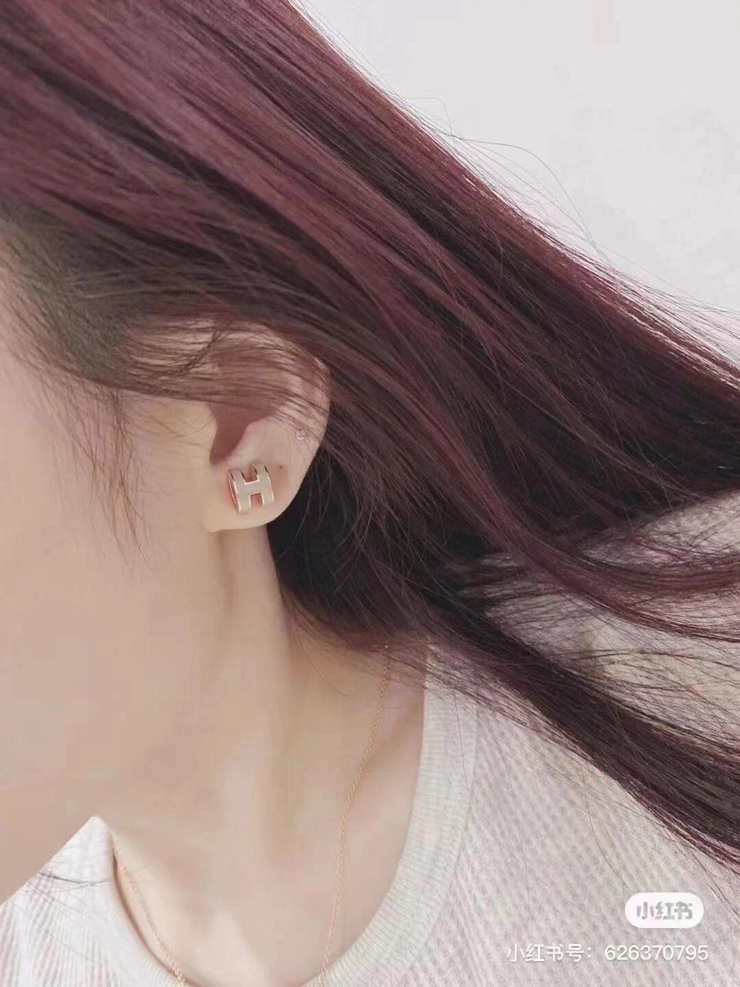Hermes earrings-45
