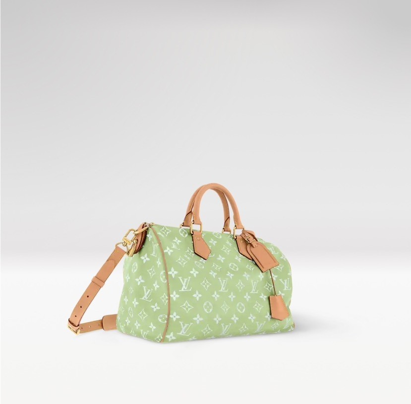 Louis Vuitton Hot New Product-115